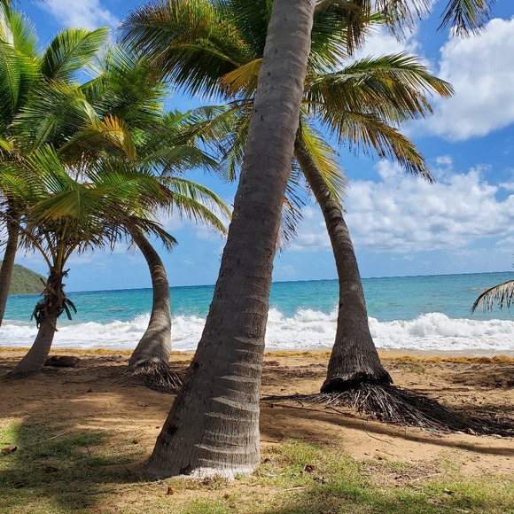 Relaxing at the beach ⛱️ - Picture 1 of 1
